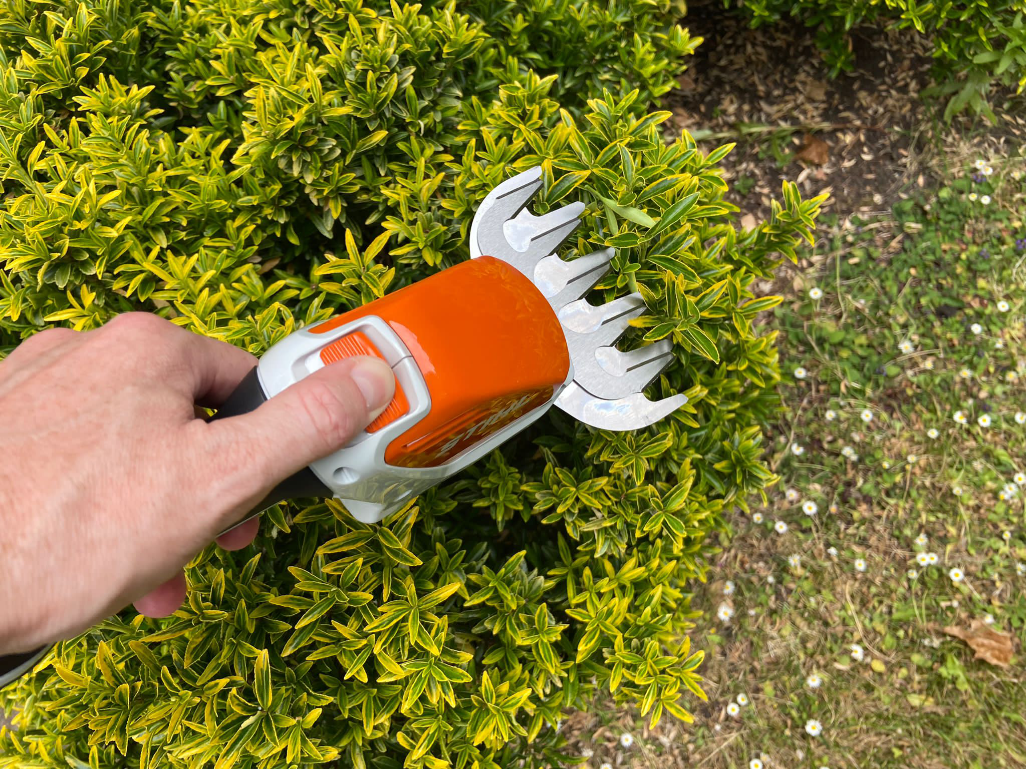 Stihl hsa 25 garden shears amazon hot sale